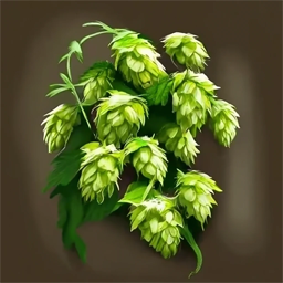 Artistic drawing of hop cones