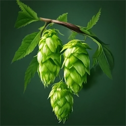 Artistic drawing of hop cones