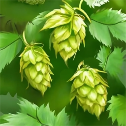 Artistic drawing of hop cones