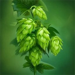 Artistic drawing of hop cones